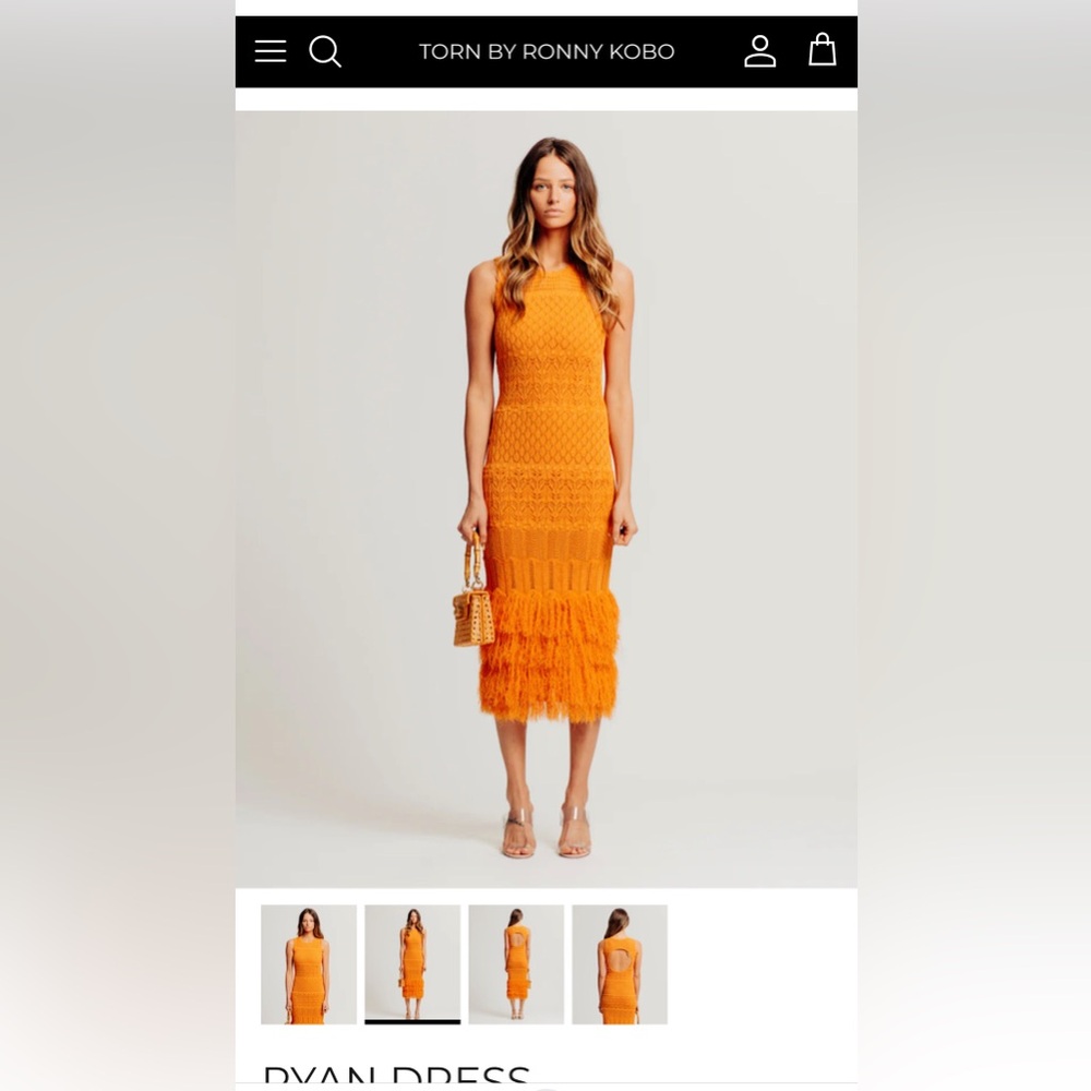 Torn by Ronny Kobo Terracota Ryan Dress
